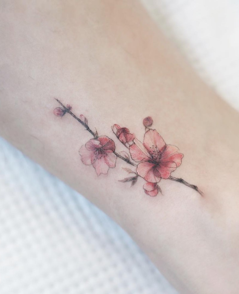 Cherry Blossom Tattoo by Tattooist Flower